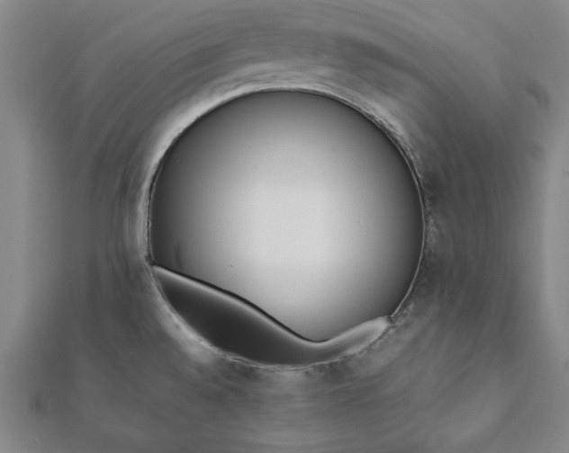 X0000112051528200908181126