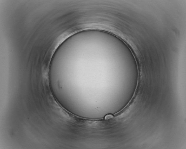 X0000112051529200908181126