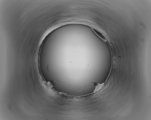 X0000112051530200908181126