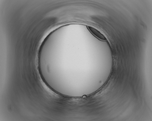 X0000112051531200908181126