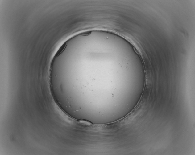 X0000112051532200908181126