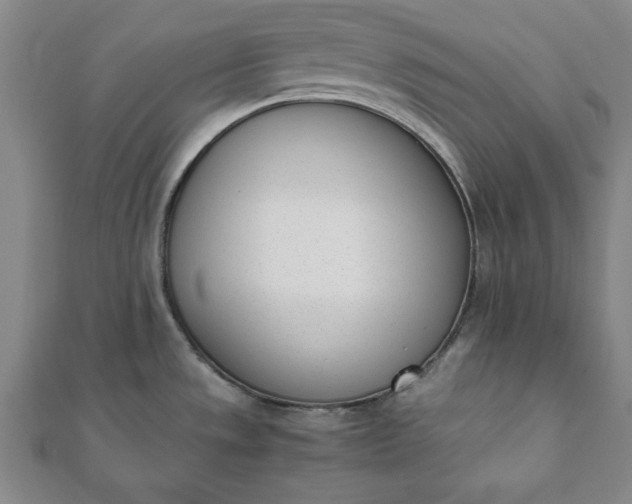 X0000112051533200908181126