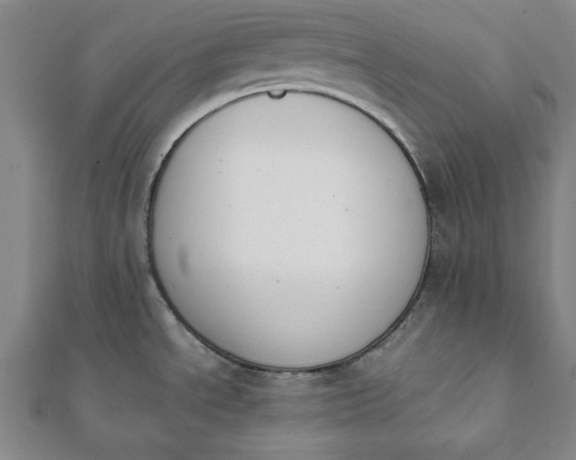 X0000112051534200908181126