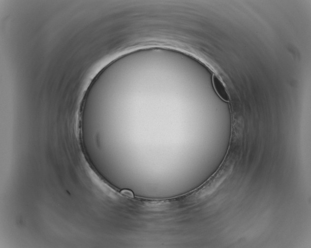 X0000112051535200908181126