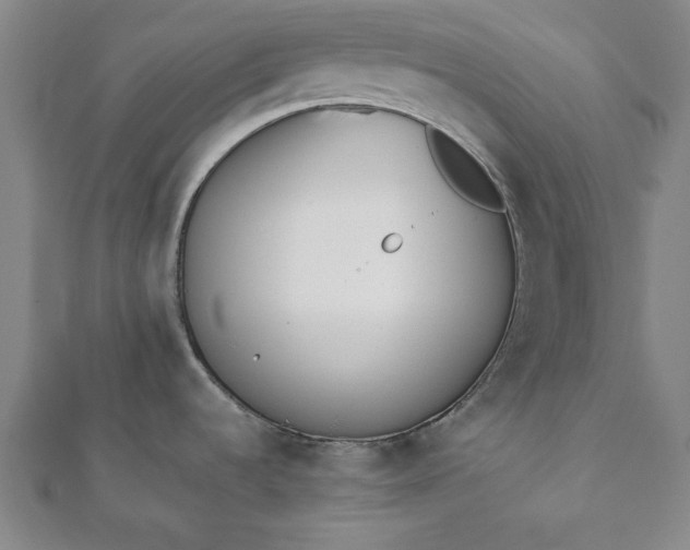 X0000112051536200908181126