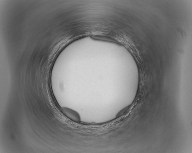 X0000112050001200908251008