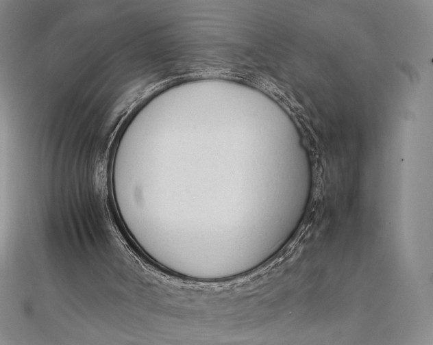 X0000112050002200908251008