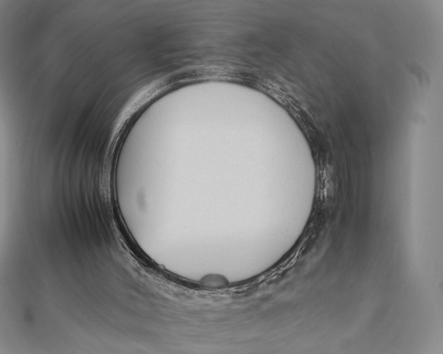 X0000112050004200908251008