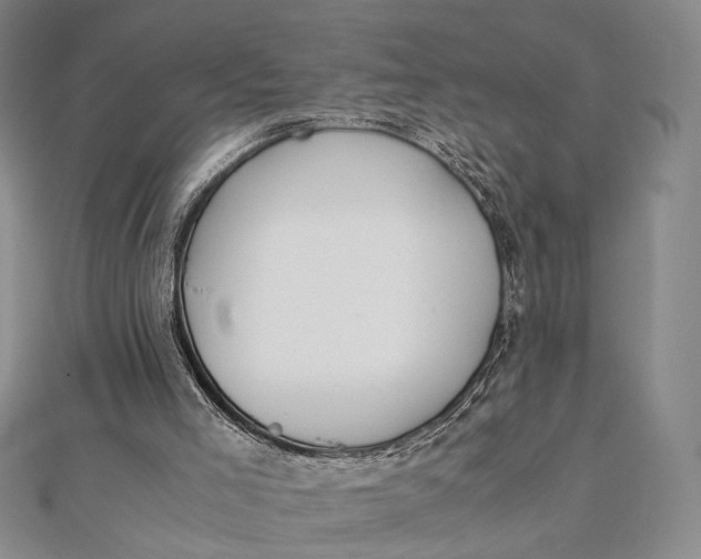 X0000112050005200908251008