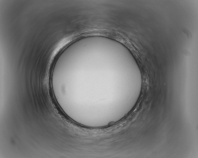 X0000112050006200908251008