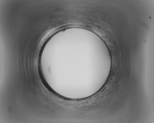 X0000112050007200908251008