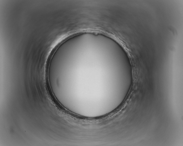 X0000112050008200908251008