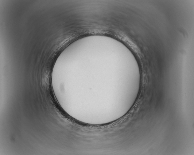 X0000112050009200908251008