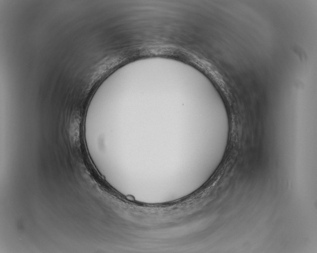 X0000112050010200908251008