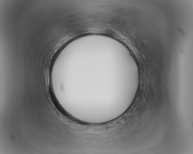 X0000112050011200908251008