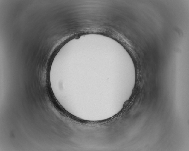 X0000112050012200908251008