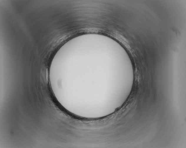 X0000112050013200908251008