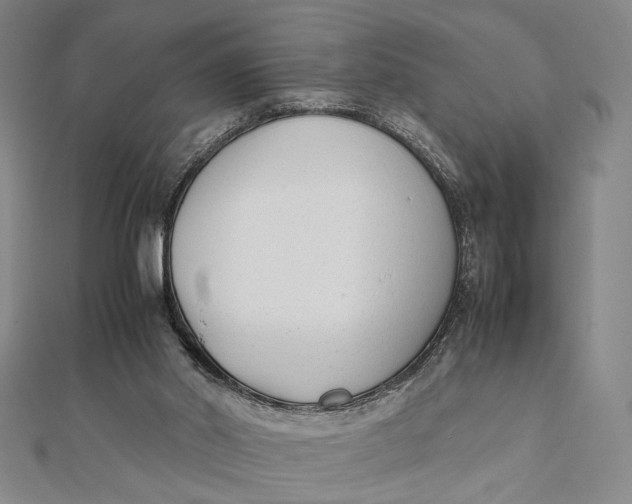 X0000112050014200908251008