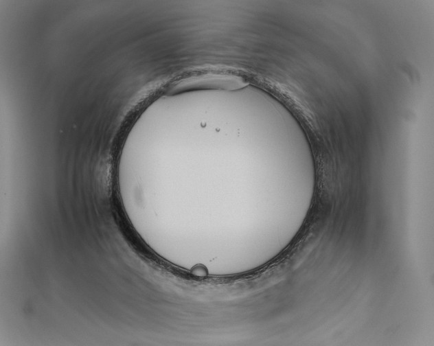 X0000112050016200908251008