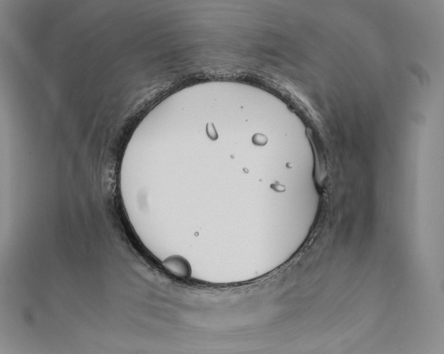 X0000112050017200908251008