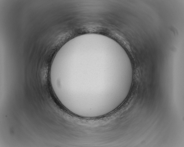 X0000112050018200908251008