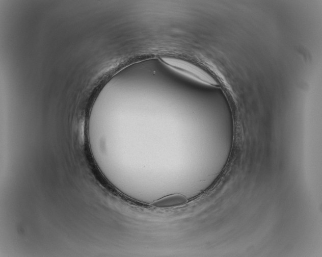 X0000112050019200908251008