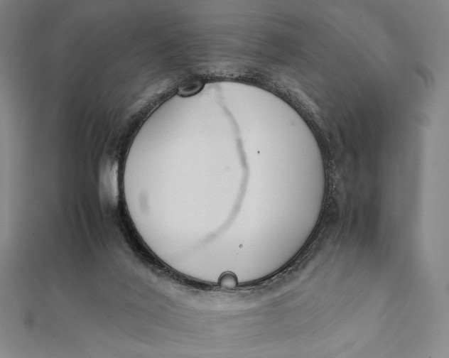 X0000112050020200908251008