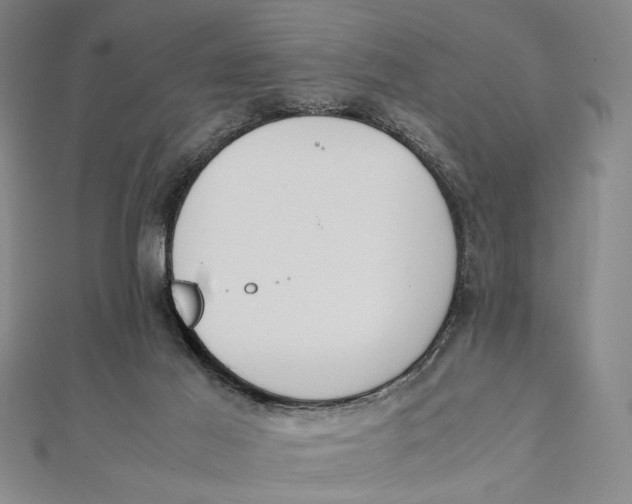 X0000112050021200908251008