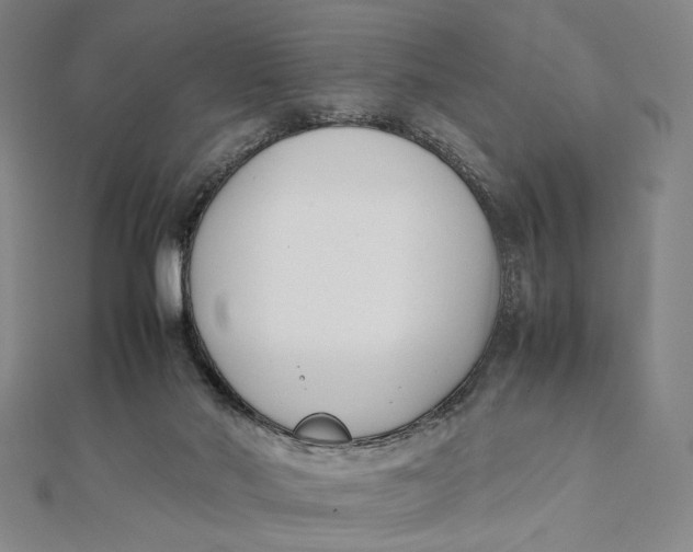 X0000112050022200908251008