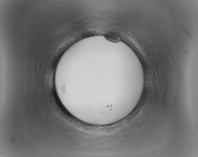 X0000112050023200908251008