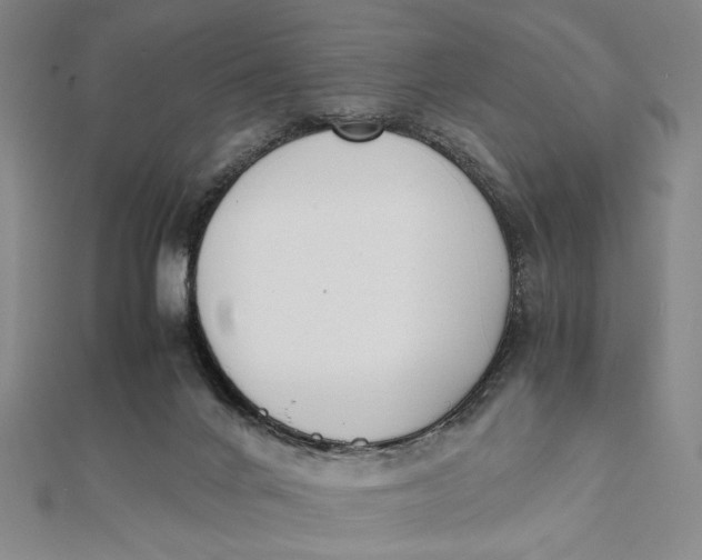 X0000112050024200908251008