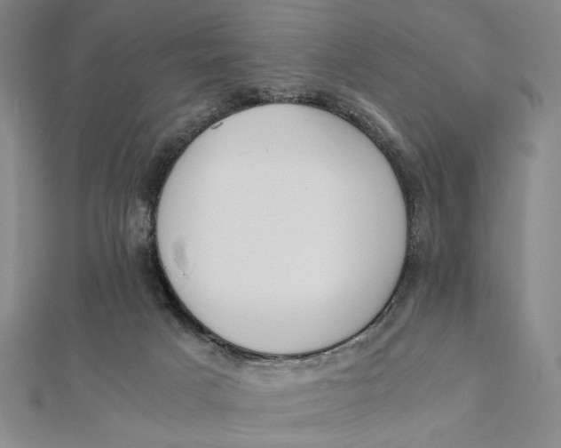 X0000112050025200908251008