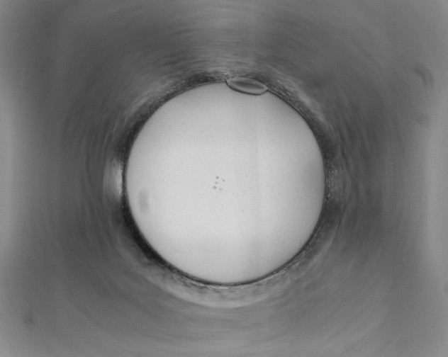 X0000112050027200908251008