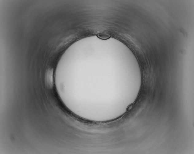 X0000112050028200908251008