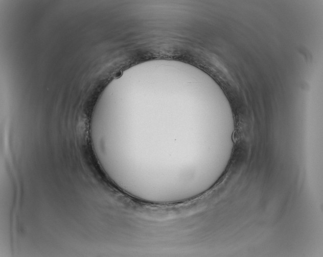 X0000112050029200908251008