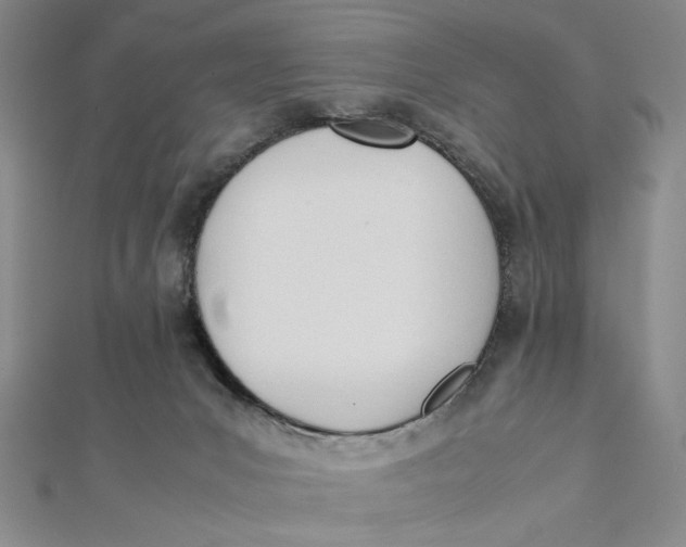 X0000112050031200908251008