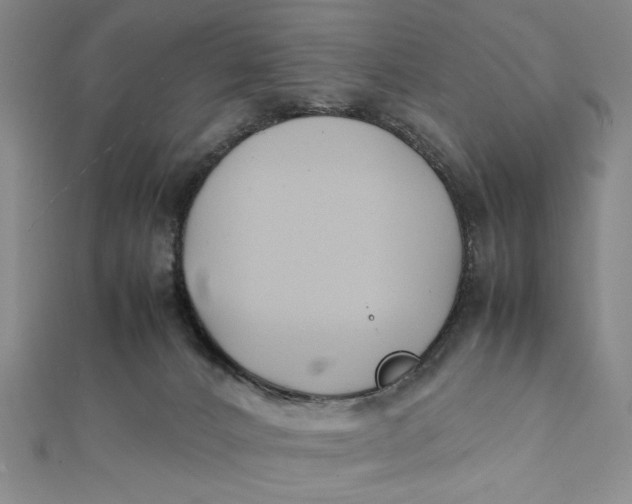 X0000112050032200908251008