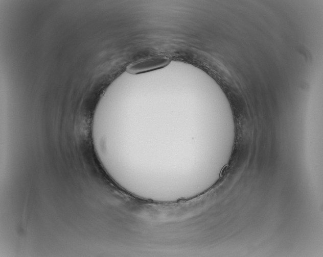 X0000112050033200908251008