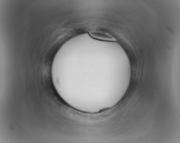 X0000112050035200908251008