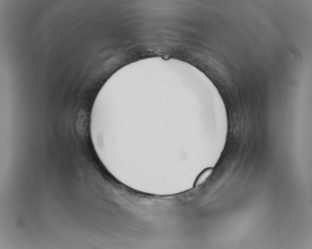 X0000112050036200908251008