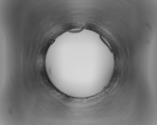 X0000112050037200908251008