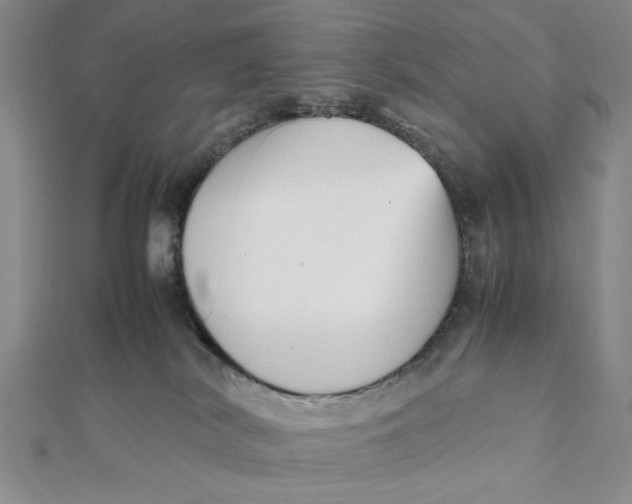 X0000112050038200908251008