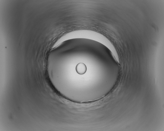 X0000112050039200908251008