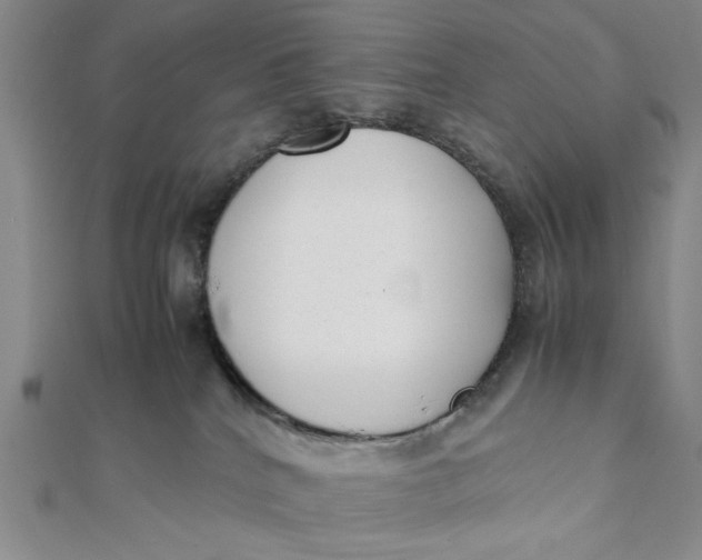 X0000112050040200908251008