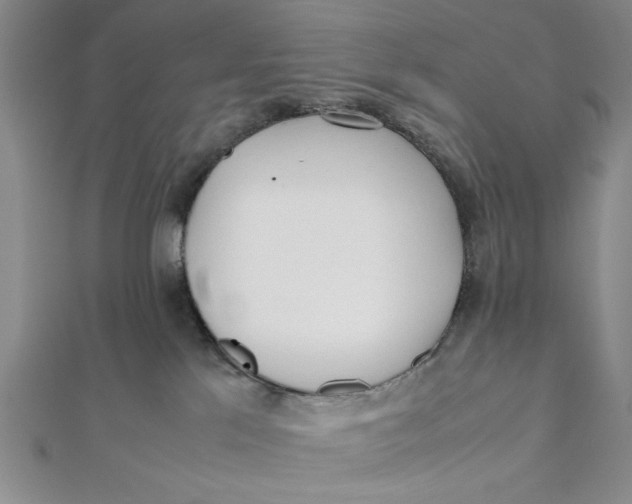 X0000112050041200908251008