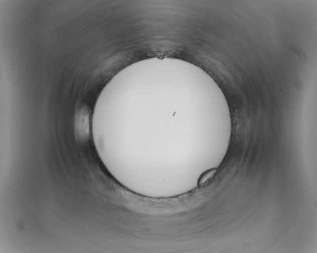 X0000112050042200908251008