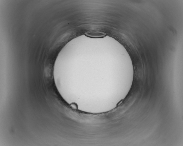 X0000112050044200908251008