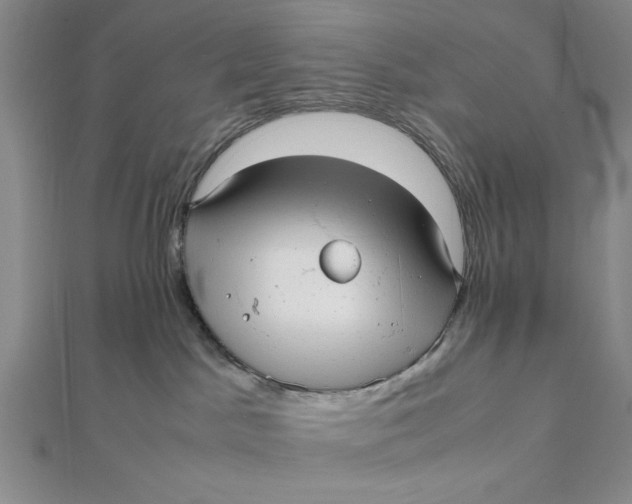 X0000112050045200908251008