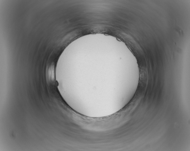 X0000112050046200908251008