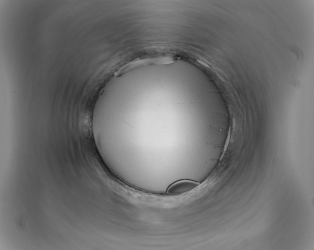 X0000112050048200908251008